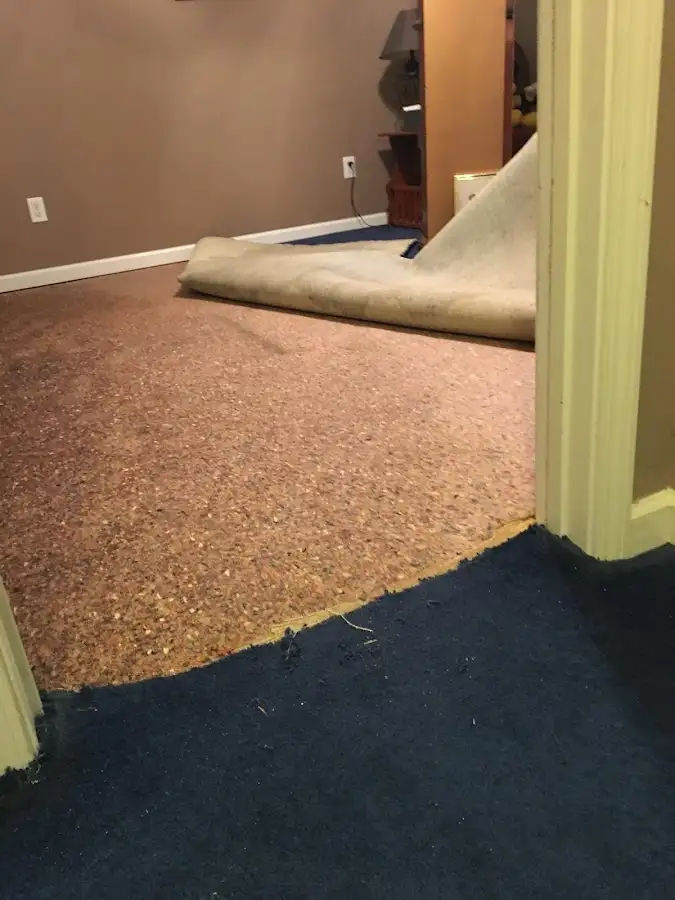 Carpet pad removal revealing water damage during Drying & Dehumidification in St. Simons