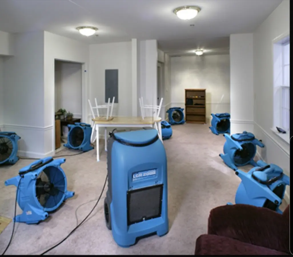 Air movers and dehumidifier setup for Water Extraction & Removal in St. Simons